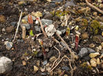 DSCF1415.jpg