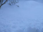 DSCF1417.jpg