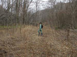 DSCF1442.jpg