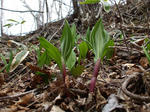 DSCF1450.jpg