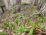 DSCF1463.jpg