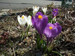 DSCF1470.jpg