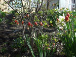 DSCF1504.jpg