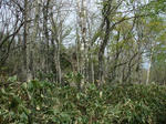 DSCF1508.jpg