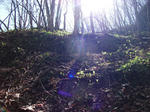 DSCF0078.jpg