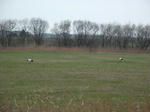 DSCF0085.jpg