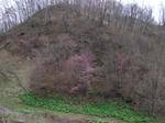 DSCF0109.jpg