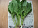 DSCF0116.jpg