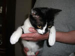 DSCF0174.jpg
