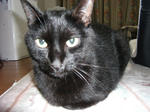 DSCF0188.jpg