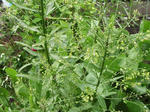DSCF0191.jpg