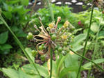 DSCF0192.jpg