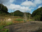 DSCF0252.jpg