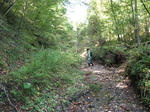 DSCF0253.jpg