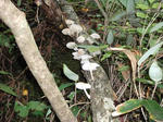 DSCF0255.jpg