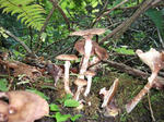 DSCF0257.jpg