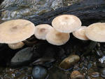 DSCF0258.jpg