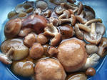 DSCF0290.jpg