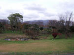 DSCF0291.jpg