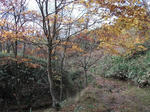 DSCF0308.jpg