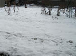 DSCF0339.jpg