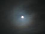 DSCF0413.jpg