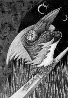 モノクロームイラスト（鉛筆画） - 「鴉」