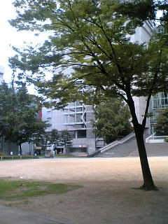 矢場公園