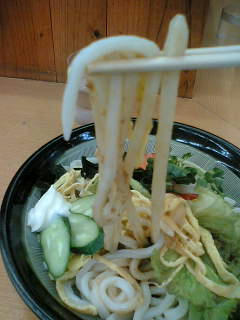 松月のサラダうどん