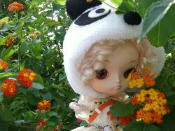 20080925byl3.JPG