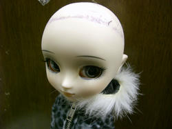 1f90fb0a.JPG