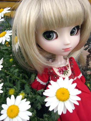 coco2940.JPG