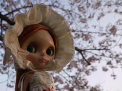 coco0746.JPG