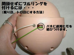 CIMG3291_1.jpg