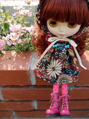 coco05085.JPG