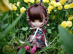 coco05081.JPG