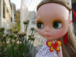 coco05089.JPG