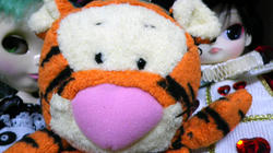 IMGP0277.JPG
