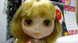 IMGP0288.JPG