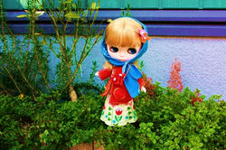 IMG_4794_2.JPG