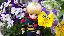IMGP0723.JPG