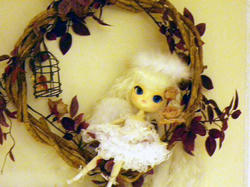 IMGP0605.JPG