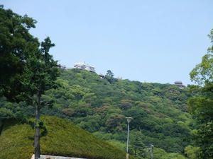 はるかかなたの松山城(T□T)