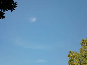 20091209Sky High!