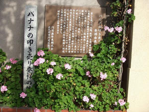 ⑩091206バナナの叩き売り発祥の地