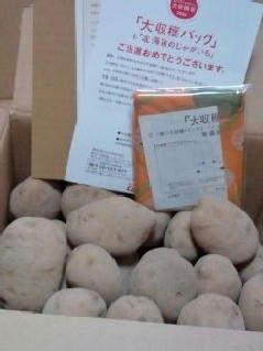 カルビーさんのじゃがいも3kg