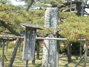 100502唐崎の松_石碑