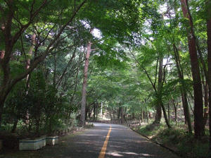 2010_0822神戸市立外国人墓地④