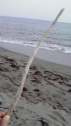 2008051617000000.jpg