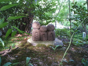 DSCF0722.JPG